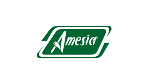 amesia.com