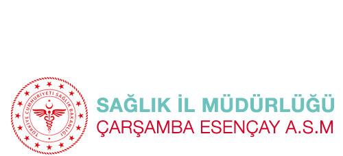 carsambaasm.com.tr
