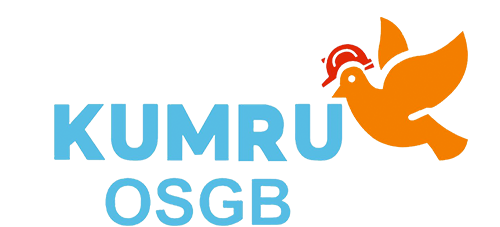 kumruosgb.com