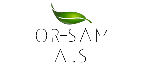 orsam.com.tr