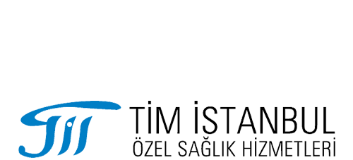 timistanbul.com