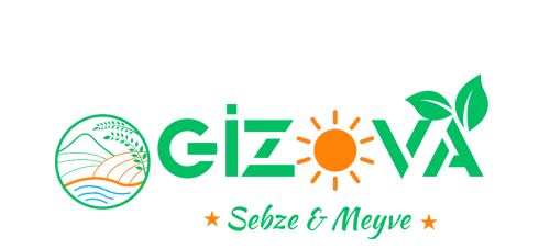 gizova.com
