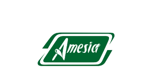 amesia.com