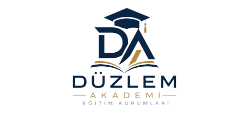 duzlemakademi.com