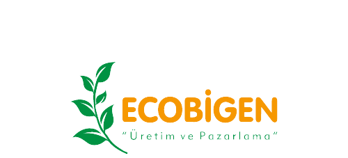 ecobigen.com