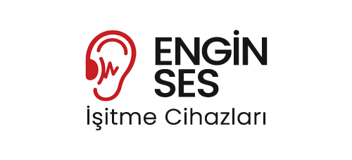 enginsesisitme.com.tr