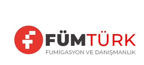 fumturk.com