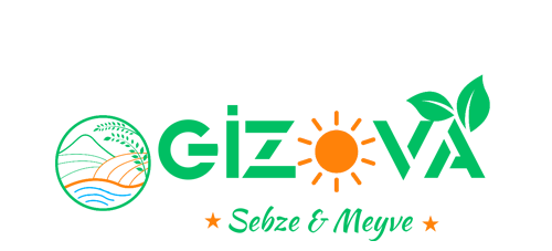 gizova.com