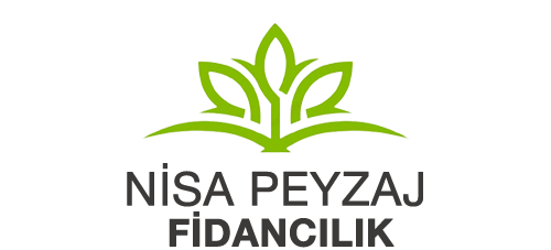 nisapeyzajfidancilik.com