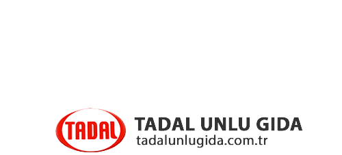 tadalunlugida.com.tr