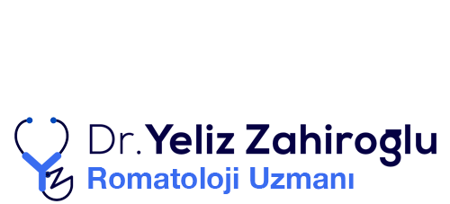 yelizzahiroglu.com