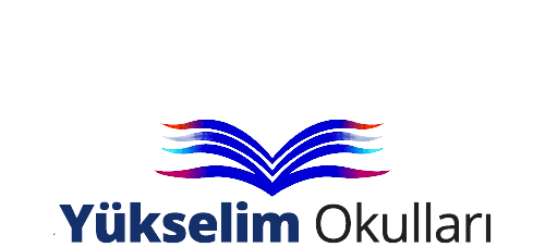 yukselimokullari.com